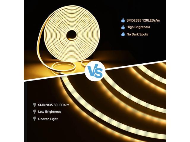 DELight 100FT Warm White Neon Rope Lights with Remote Control AC 110V IP65 Waterproof Cuttable Dimmable Flexible DIY DEL-D100W