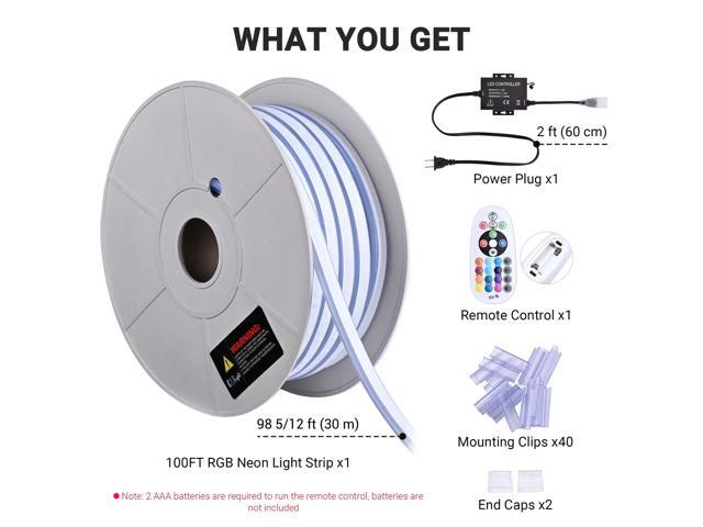 DELight 100FT RGB Neon Rope Lights with Remote Control & APP AC 110V IP65 Waterproof Music Sync Dimmable Cuttable DIY DEL-D100R