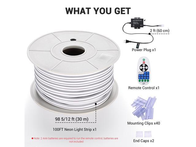 DELight 100FT Warm White Neon Rope Lights with Remote Control AC 110V IP65 Waterproof Cuttable Dimmable Flexible DIY DEL-D100W