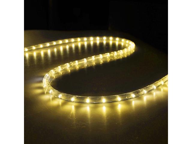 DELight 150 Ft. 2 Wire LED Rope Light Holiday Valentine Decorative Lighting Warm White
