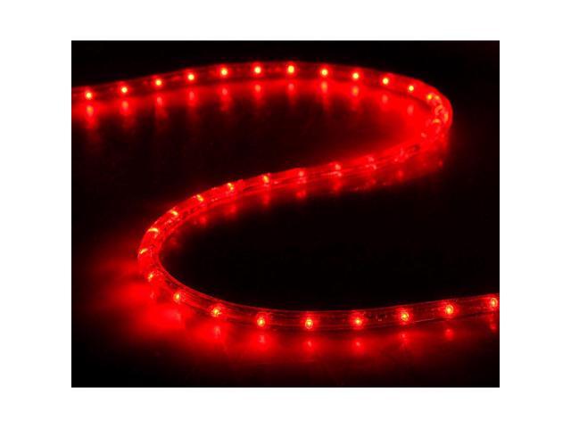 DELight 150 Ft 2 Wire LED Rope Light Holiday Valentine Party Decorative Lighting Red