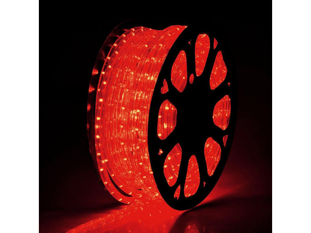 DELight 150 Ft 2 Wire LED Rope Light Holiday Valentine Party Decorative Lighting Red