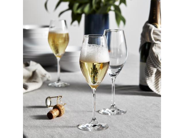 ZWILLING Predicat 6-pc Champagne Flute Set