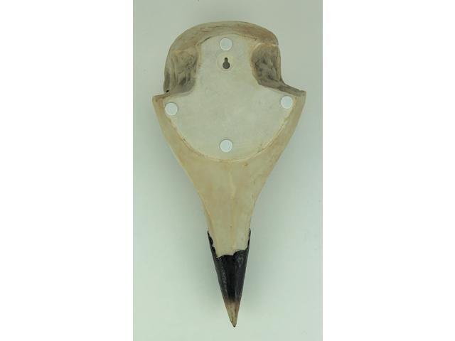 The Enigmatic Corvus: Bird of Prophecy Gothic Raven Skull Wall Decor - Mysterious Hanging Statue for Intriguing Home Ambiance - Easy To Hang - 16...