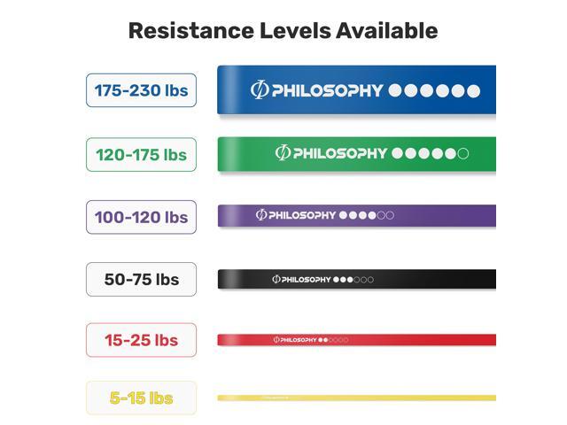 Philosophy Gym Pull Up Assist Band - 2-1/2' (175-230 lbs), Blue - Resistance Power Loop Exercise Band