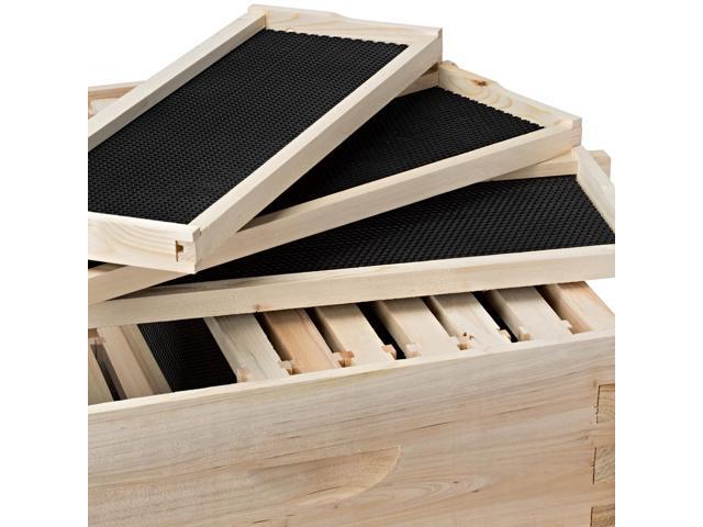 Honey Keeper Beehive 10 Frame Kit Super Box and 10 Deep Frames with Foundations for Langstroth Beekeeping