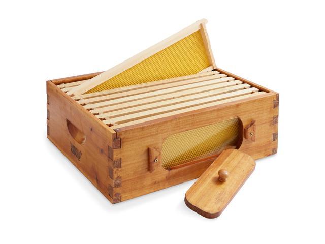 Honey Keeper Medium Super Brood Box with Window, 100% Beeswax Coated Beehive Kit with 10 Wooden Frames and Waxed Foundations for Langstroth Beekeeping