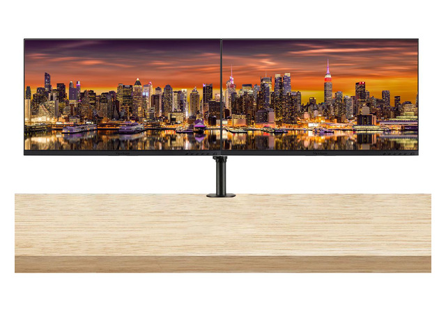ViewSonic VG2455-2K 24-inch 2560 x 1440 Quad HD LCD IPS Monitor, 2-Pack bundle with Frameless, FreeSync, Eye-Care, HDMI, DisplayPort, USB Hub,...
