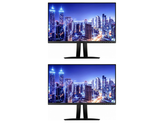 ViewSonic VP2456 24-inch 1080P FHD IPS Premium Monitor, 2-Pack Bundle with ColorPro, Color Accuracy, HDMI, DisplayPort, USB-C, Speakers
