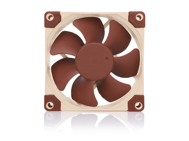 Noctua NF-A8 5V, Premium Quiet Fan with USB Power Adaptor Cable, 3-Pin, 5V Version (80mm, Brown)