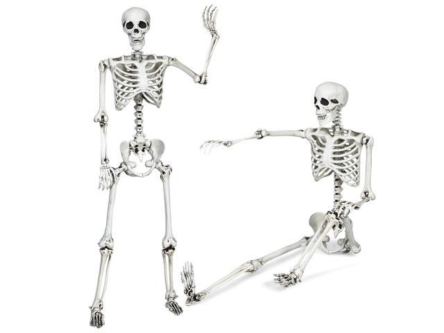 Costway 5.4ft Halloween Christmas Skeleton Life Size Realistic Full Body Hanging with Movable Joints 63 Inches
