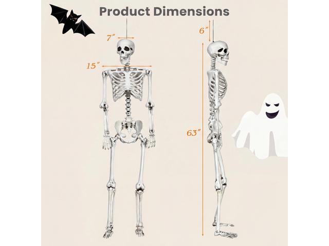 Costway 5.4ft Halloween Christmas Skeleton Life Size Realistic Full Body Hanging with Movable Joints 63 Inches