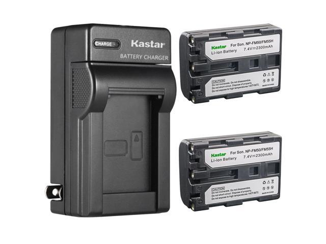 Kastar 2-Pack Battery and AC Wall Charger Replacement for Sony DCR-DVD100, DCR-DVD101, DCR-DVD200, DCR-DVD201, DCR-DVD300, DCR-DVD301, DCR-DVD91,...