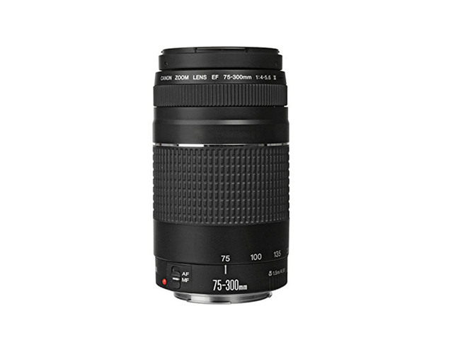 Canon 75-300mm Lens + 58mm Telephoto and Wide Angle Kens+Filter Kit + 16GB Memory Card