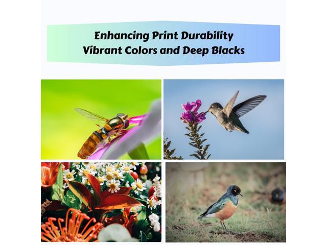 TN227 Compatible Colour Bundle of 3 Toners With Chips Cyan Magenta Yellow for TN 227 High Yield of TN 223 for Brother HL-L3210 L3230CDW L3270CDW...