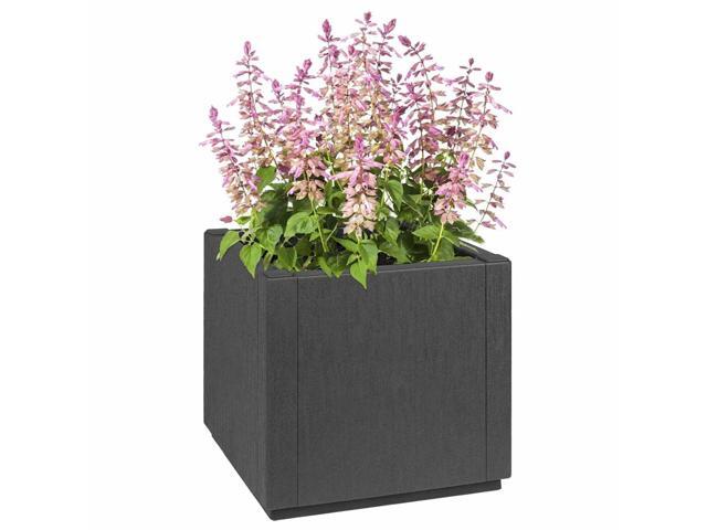 vidaXL Flower Box Dark Grey 14.17 x 14.17 x 13.78 in Plastic
