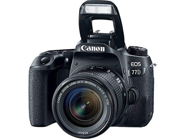 Canon EOS 77D DSLR Camera with 18-55mm Lens Bundle w/ Memory Kit (Intl Model)