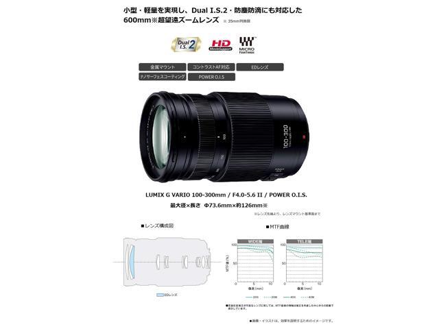 Panasonic Lumix G Vario 100-300mm f/4-5.6 II POWER O. I.S. Lens (International Model)
