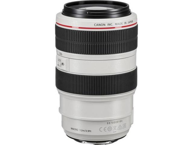 Canon EF 70-300mm f/4.0-5.6 L IS USM Lens - White