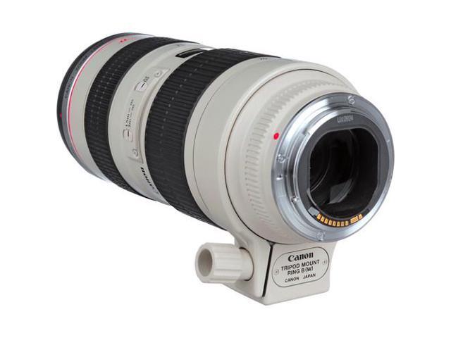Canon EF 70-200mm f/2.8L USM Lens Bundle with Cleaning Kit, Filter Kits, and Padded Lens Case (International Model)