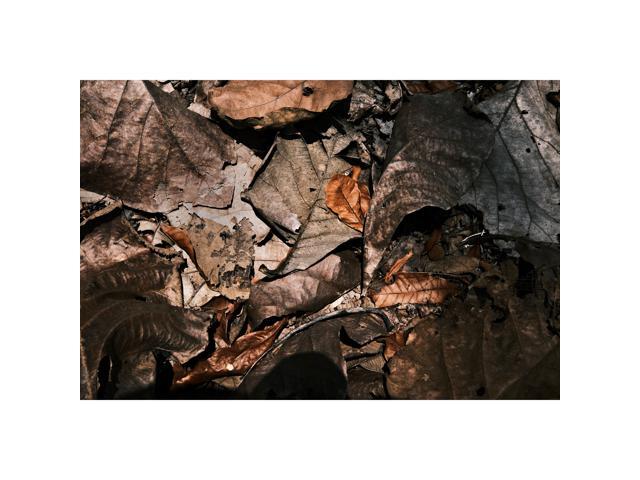 XF10-24mmF4 R OIS WR Lens for Fujifilm DSLR - Black - image 3