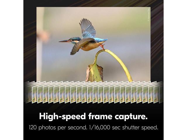 Nikon - Z6III 6K Video Mirrorless Camera 28-400mm Lens Kits - Black - image 5