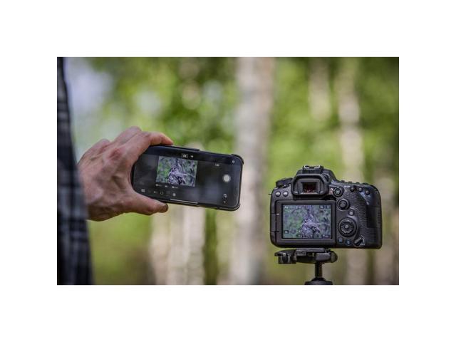 Canon - EOS 90D DSLR Camera (Body Only) - Black - image 7