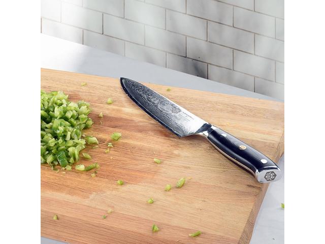 Kessaku 9.5-Inch Chef Knife - Damascus Dynasty Series - Forged 67-Layer AUS-10V Japanese Steel - G10 Full Tang Handle with Blade Guard