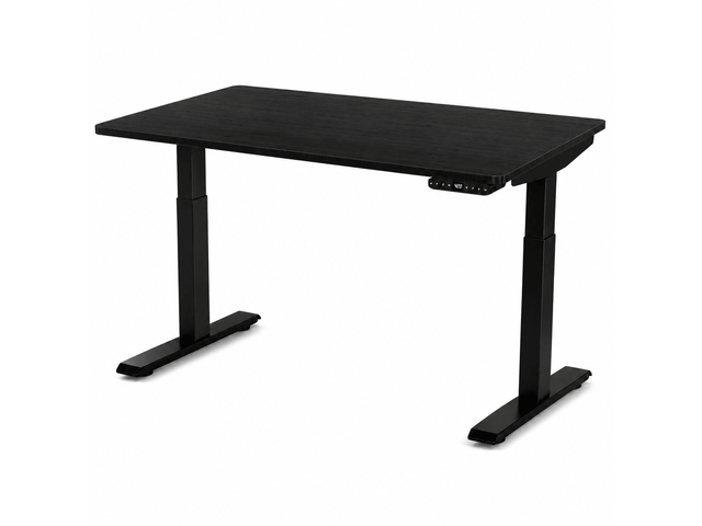 Rise Up 2-stage Dual Motor Electric Standing Desk with Black Bamboo Top
