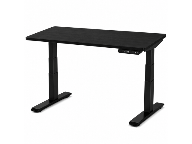 Rise Up 3-stage Dual Motor Electric Standing Desk with Black Bamboo Top