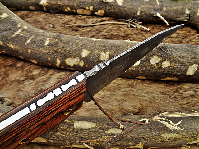 8.5' Long hand forged skinning Knife, 4.5' full tang hand forged Damascus steel coping blade, 2 tone dollar wood scale, Cow Leather sheath