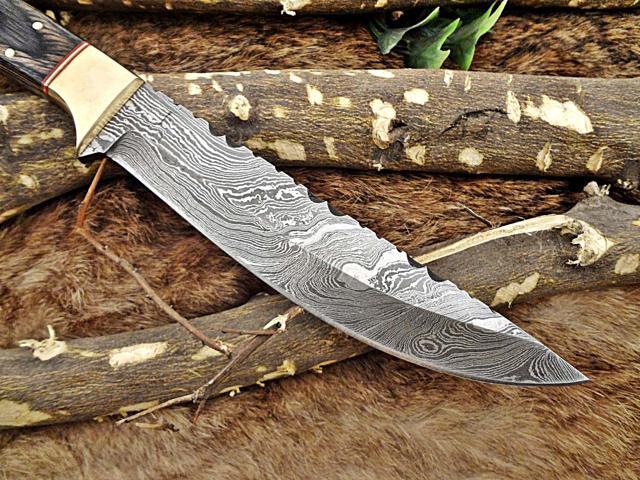 11' Long hand forged Damascus steel full tang clip point blade skinning Knife, Dollar wood with Brass bolster scale, Cow Leather sheath
