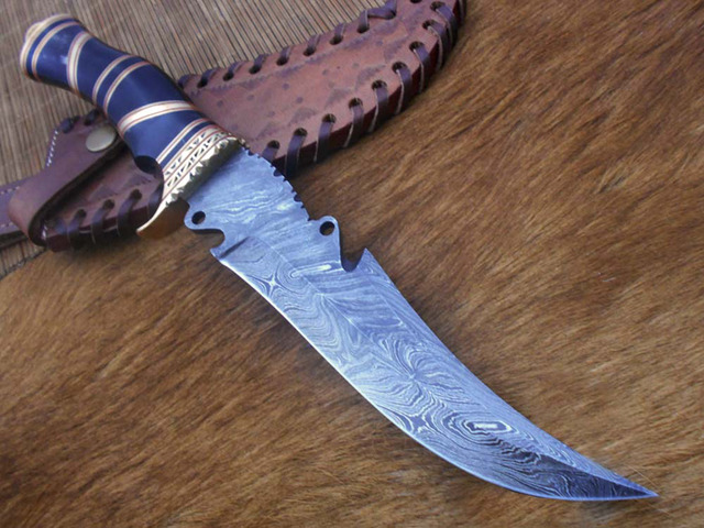 13' Long hand forged Damascus steel Hunting knife, exotic Bull Horn scale crafted with engraved brass finger guard, spacer & red fiber, Cow hide...