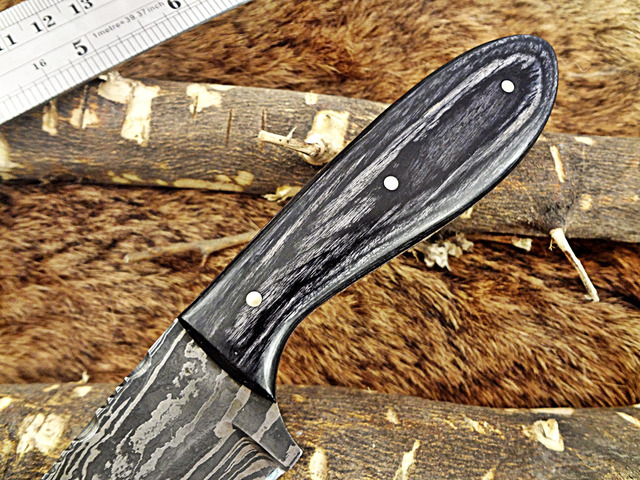7.5' Long Damascus Steel Hand Forged Compact Skinning Knife, 4' Drop Point Full Tang Blade, 2 Tone Dollar Wood Scale, Cow Hide Leather Sheath