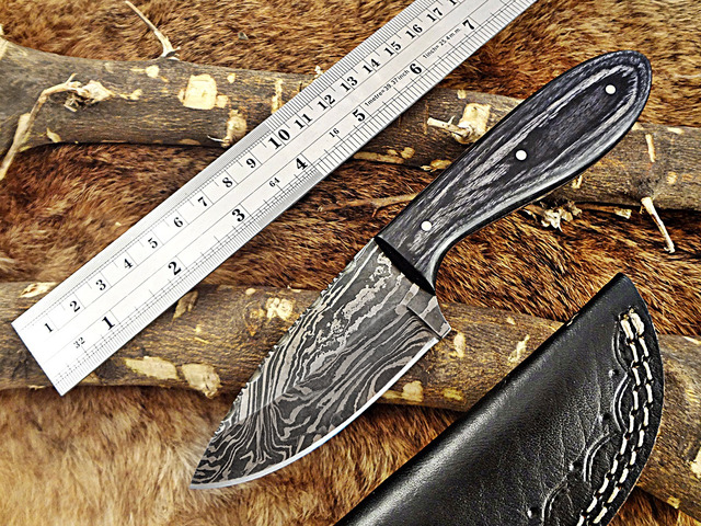 7.5' Long Damascus Steel Hand Forged Compact Skinning Knife, 4' Drop Point Full Tang Blade, 2 Tone Dollar Wood Scale, Cow Hide Leather Sheath