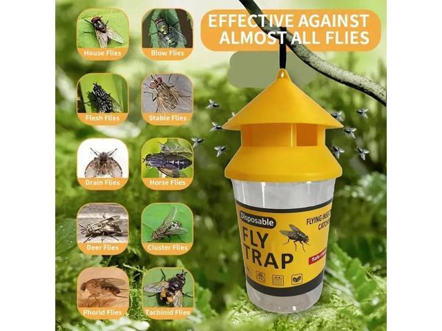 Orange and black fly trap, fly trap, fly trap, fly trap, fly cage, fly trap
