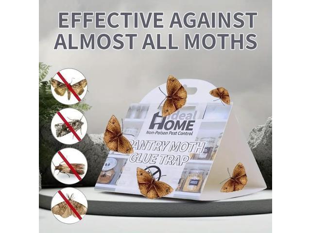 The old model of moth trap stick to moth, moth catcher stick to moth trap, moth stick to moth board
