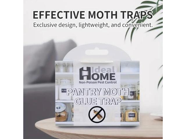 The old model of moth trap stick to moth, moth catcher stick to moth trap, moth stick to moth board