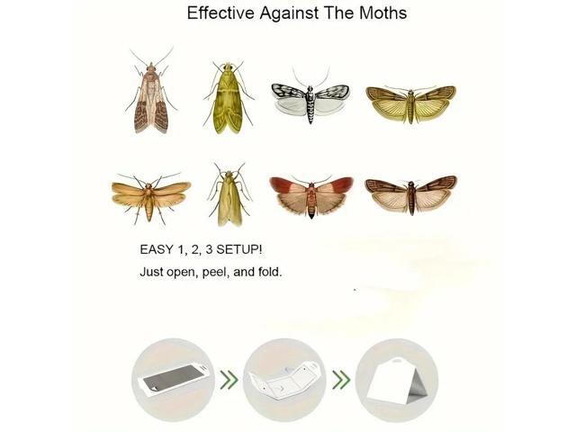Purple moth, moth trap, moth catcher, moth stick, moth trap