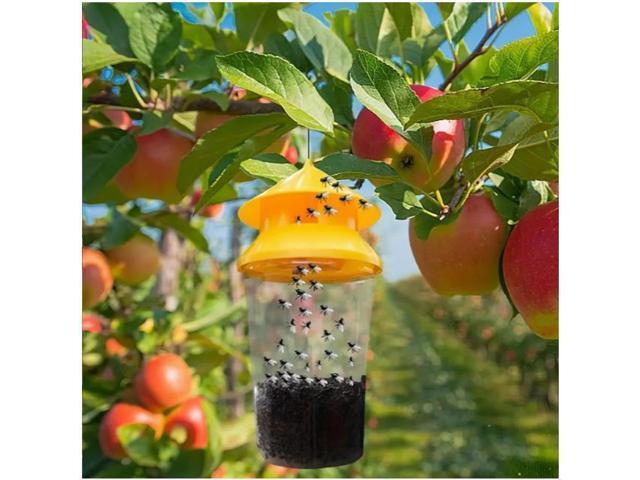 Orange fly trap, fly bottle, fly trap, fly trap, fly cage, fly trap