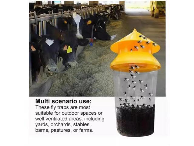Orange fly trap, fly bottle, fly trap, fly trap, fly cage, fly trap