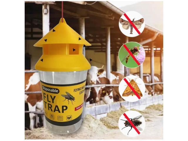 Orange fly trap, fly bottle, fly trap, fly trap, fly cage, fly trap