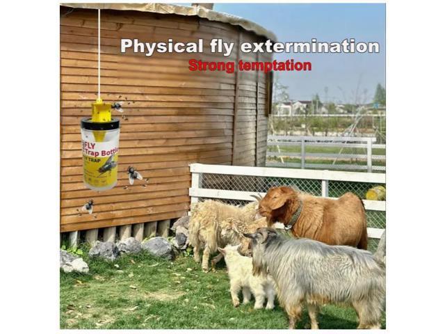 Cross-border garbage dump fly killer, fly trap, fly bottle, fly bottle, fly trap