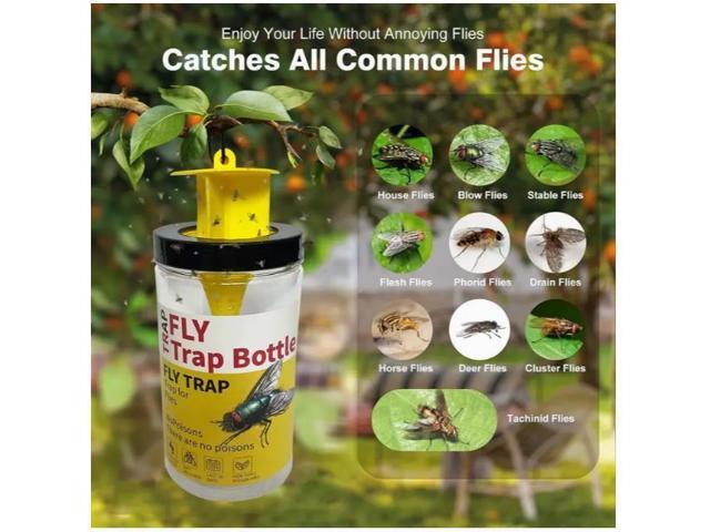 Cross-border garbage dump fly killer, fly trap, fly bottle, fly bottle, fly trap