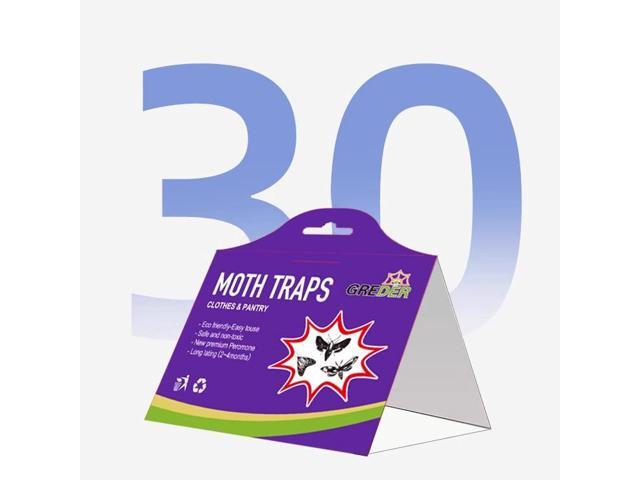 A box of purple moth traps, sticky moths, moth traps, moth stickers, moth traps