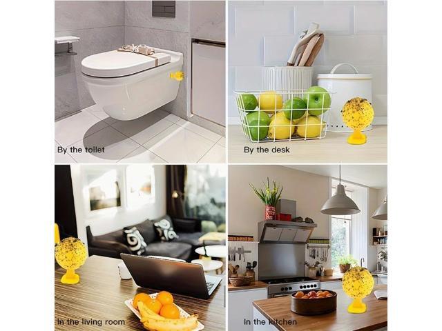 Six fly traps: Fruit fly, citrus large fruit fly, needle tip attractant, sticky insect, yellow board, orchard adhesive