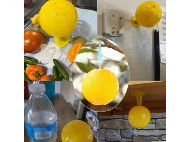 Five fly traps: Fruit fly, citrus large fruit fly, needle tip attractant, sticky insect, yellow board, orchard adhesive