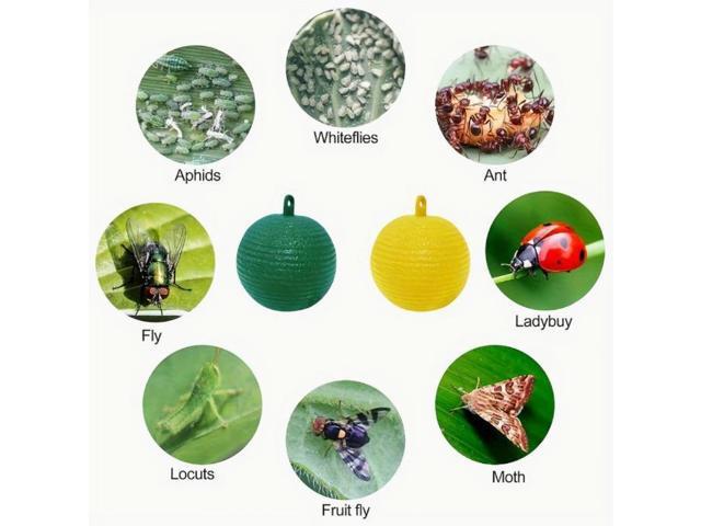 Four fly traps: Fruit fly, citrus large fruit fly, needle tip attractant, sticky insect, yellow board, orchard adhesive