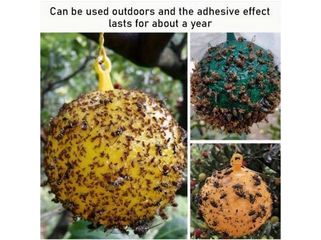 Four fly traps: Fruit fly, citrus large fruit fly, needle tip attractant, sticky insect, yellow board, orchard adhesive