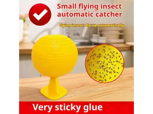 7 fly traps, fruit flies, citrus large fruit fly traps, needle tip attractant, sticky insect yellow board, orchard adhesive
